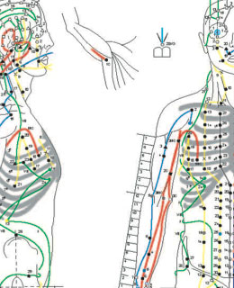 Planche Acupuncture